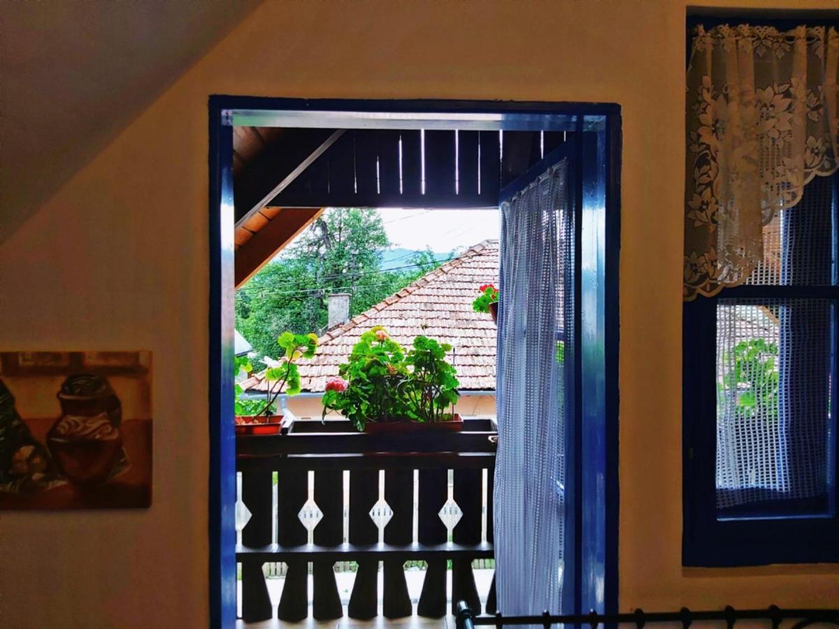 Casa Toth Hostel Viseu de Sus Bagian luar foto
